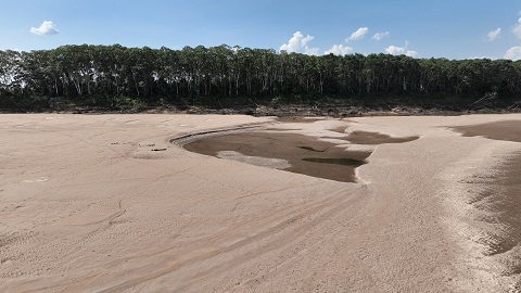 NATURE LETICIA SANTOS LIMA_ICTA_UAB SEQUIA AMAZONAS